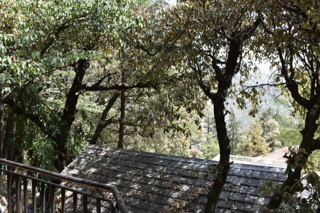 Misty Woods Hotell Dharamshala Eksteriør bilde