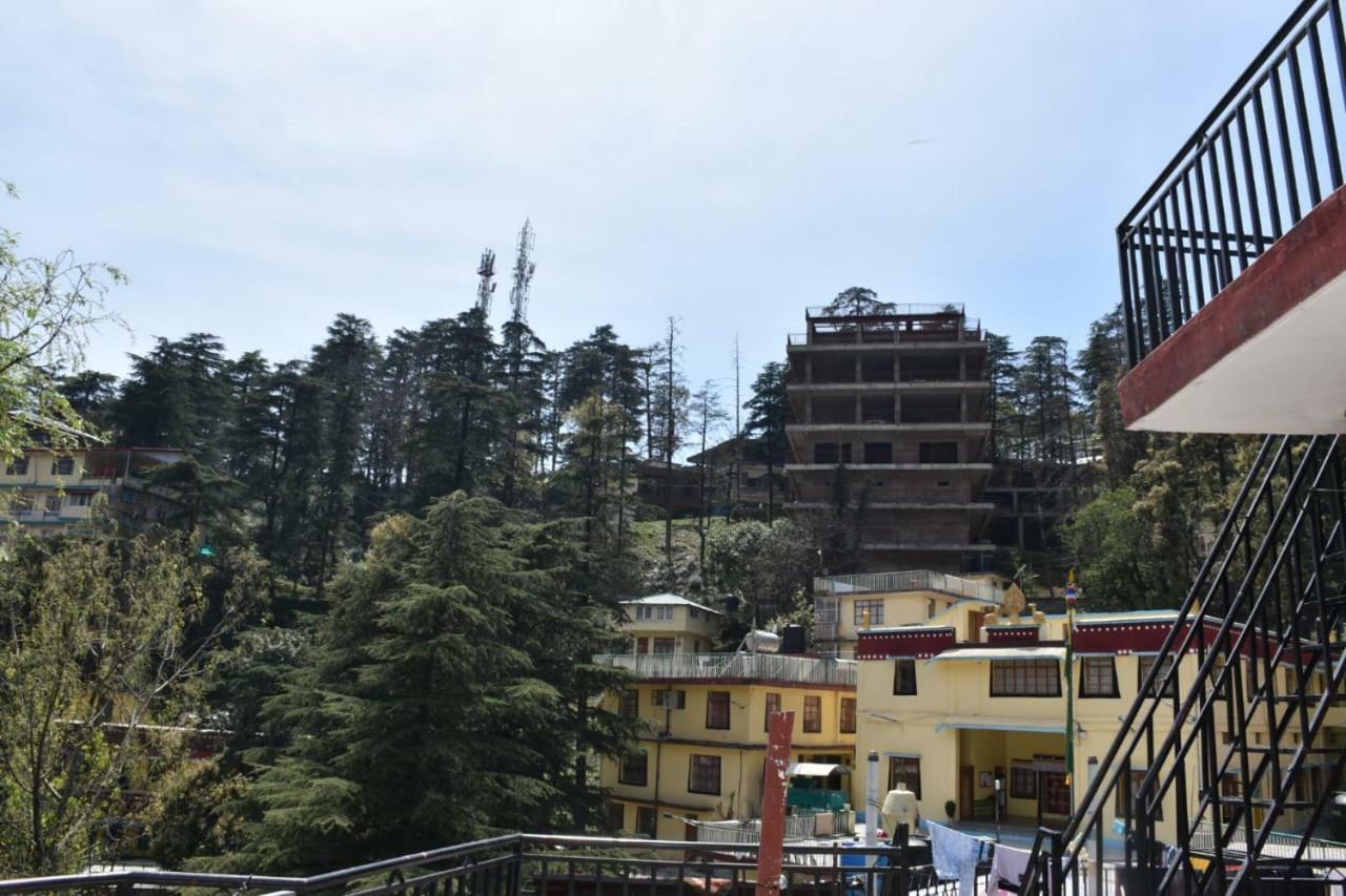 Misty Woods Hotell Dharamshala Eksteriør bilde