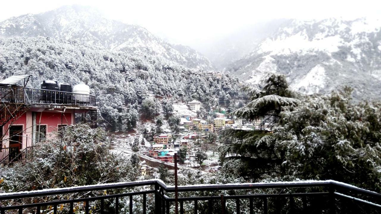 Misty Woods Hotell Dharamshala Eksteriør bilde